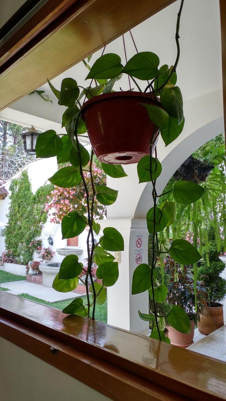 Ixkanul Antigua Hotel Eksteriør billede